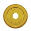 Диск обрезиненный 1,25 кг Антат, 26 мм, желтый в Хабаровске - «Спорт-М»