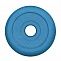 Диск обрезиненный 2,5 кг Антат, 51 мм, синий в Хабаровске - «Спорт-М»