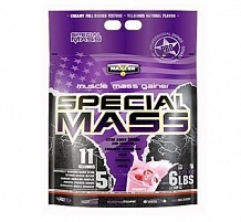 Special Mass Gainer 2,7 кг