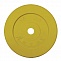 Диск обрезиненный 15 кг Антат, 51 мм, желтый в Хабаровске - «Спорт-М»
