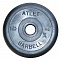 Диск обрезиненный Atlet 1,25 кг MB-AtletB26-1,25 в Хабаровске - «Спорт-М»
